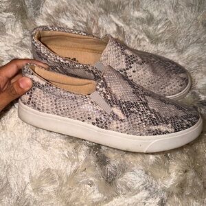 Soda Taupe Snake-Print Slip-On Sneakers